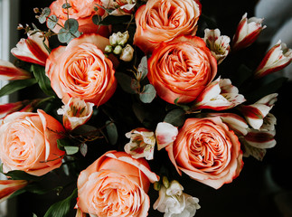  large luxurious bouquet of peony roses of coral color with white freesia in noir style on a dark...