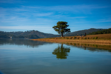 Obraz premium art and beauty lonely pine tree reflection on the lake wwith magic light and blue sky at sunrise