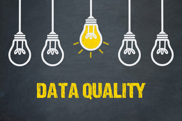 Data Quality 