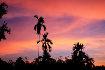 Obraz na płótnie Canvas Sunset sky sun and sunrise with landscape beutiful nature background