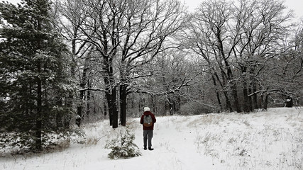 Fototapeta na wymiar Tourist in the winter forest