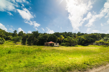 House in Guadeloupe countryside under a shining sun