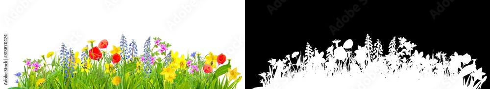 Wall mural spring grass and flowers isolated with clipping path for easy isolation