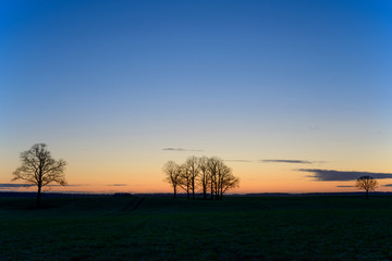 Fototapeta na wymiar Blue hour in the fields. Beautiful vista in winter