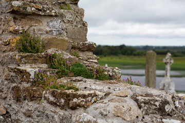 Fototapeta na wymiar The monastery of Clonmacnoise ruin in Ireland