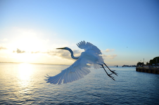 Livre, Leve e Solta!
