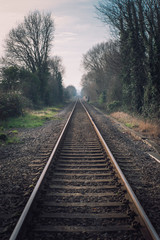 Fototapeta na wymiar Train tracks on Rye