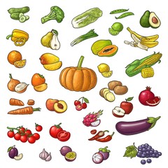 Set tropical fruits. Vector black vintage engraving isolated on white