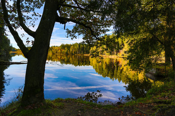 Obraz premium Herbststimmung mit Spiegelung im See in Oberschwaben