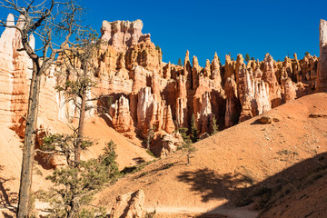 Bryce Canyon National Park, Utah, USA