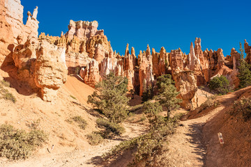 Bryce Canyon National Park, Utah, USA