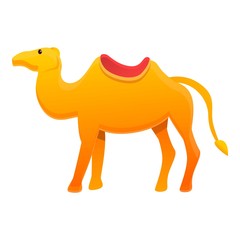 Egypt camel icon. Cartoon of Egypt camel vector icon for web design isolated on white background
