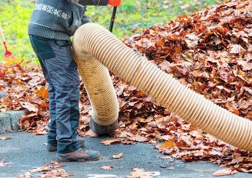 Worker clearing up the red autumn leaves using a leaf blower machine