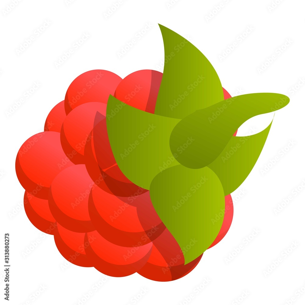 Aufkleber raspberry icon. cartoon of raspberry vector icon for web design isolated on white background
