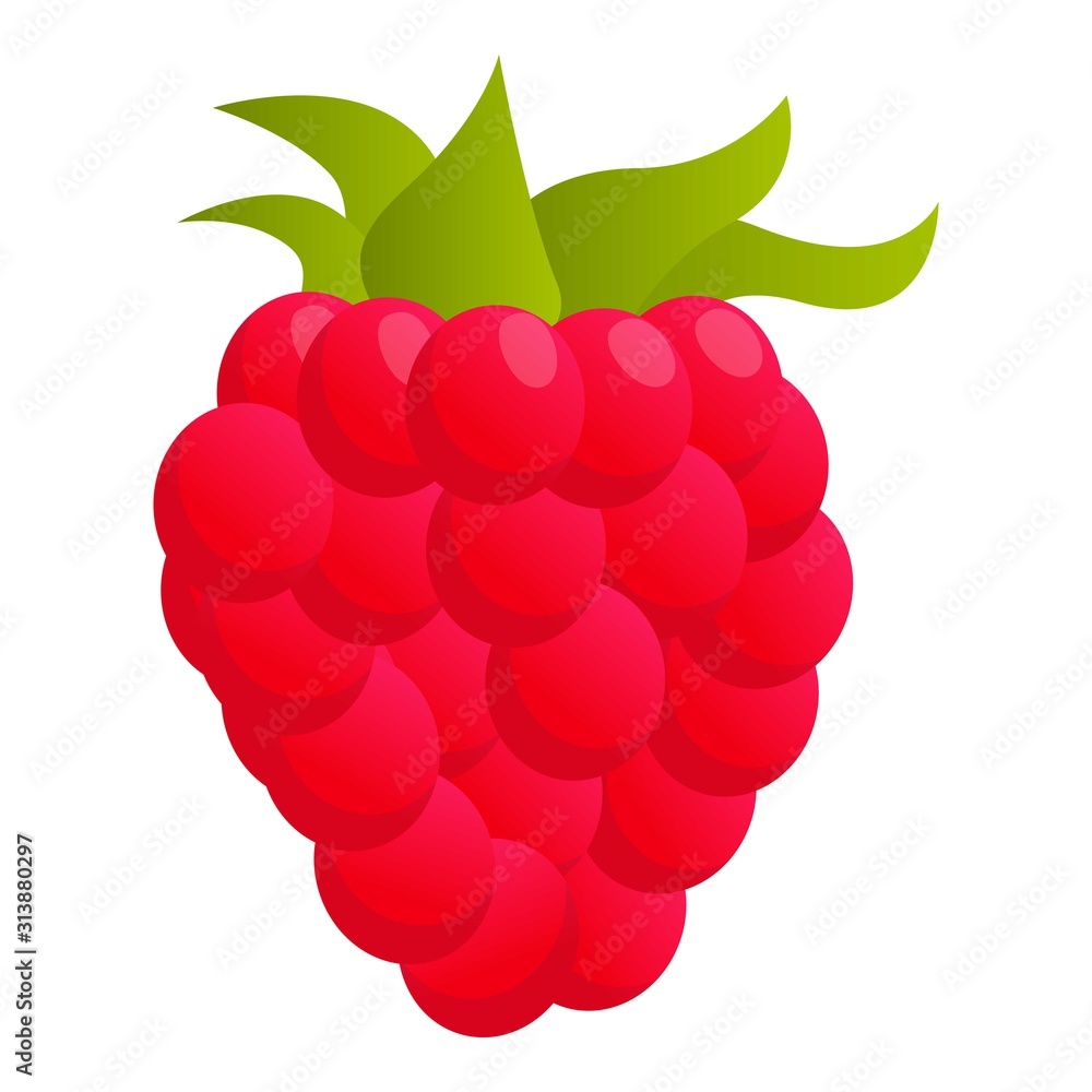 Poster raspberry food icon. cartoon of raspberry food vector icon for web design isolated on white backgrou