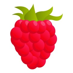 Raspberry food icon. Cartoon of raspberry food vector icon for web design isolated on white background