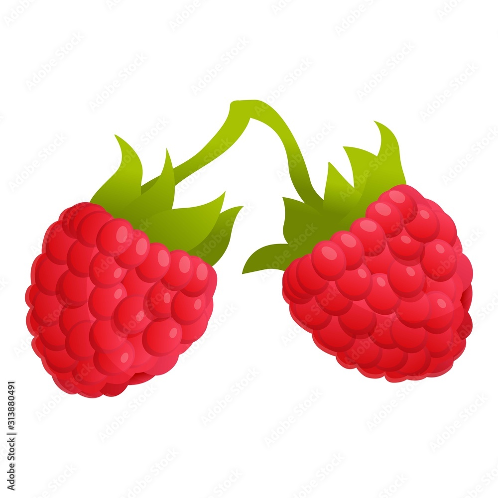 Poster garden raspberry icon. cartoon of garden raspberry vector icon for web design isolated on white back