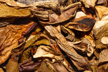 Dried mushrooms texture, background, close up