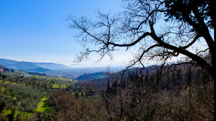 Fototapeta na wymiar Parco dell' Aringhese Montale Pistoia
