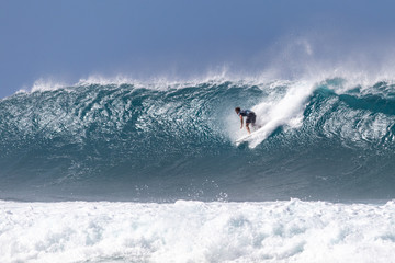 Hawai'i Life