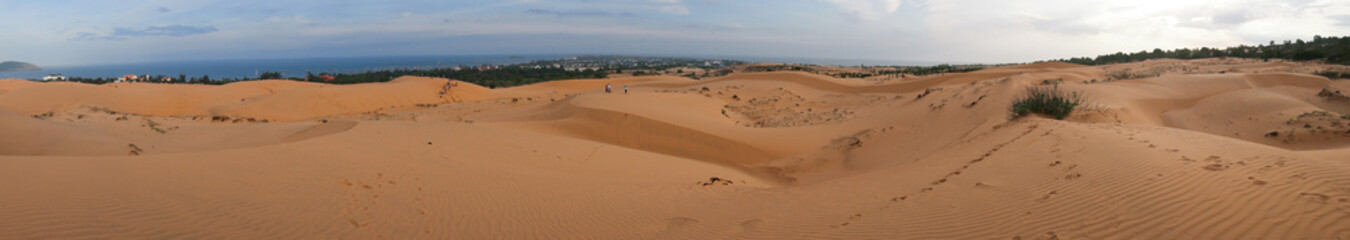 Fototapeta na wymiar red sand desert of Vietnam