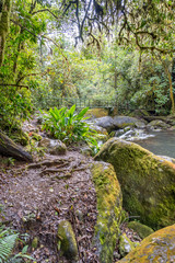 Obraz premium Costa Rica. Small river in the Los Quetzales National Park (Spanish: Parque Nacional Los Quetzales).