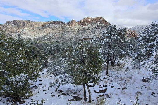 Chiricahua mountain wilderness, winter scenery, southeastern Arizona