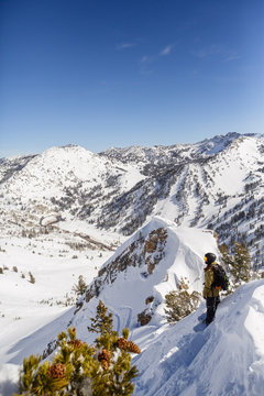 Snowboarder on a splitboard shredding the backcountry outside of Alta, Utah on a sunny winter day.