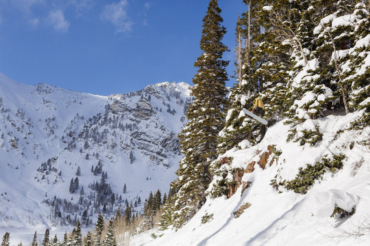 Snowboarder on a splitboard shredding the backcountry outside of Alta, Utah on a sunny winter day.   