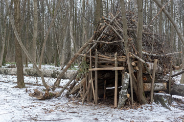 shelter of sticks and branches in the forest