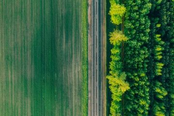 Aerial view - an asphalt highway between the summer field and the forest. Background