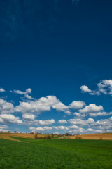 Fototapeta premium Wiesen und Felder im Sommer bewölkter Himmel