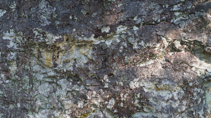 Large rocks with beautiful textures and patterns