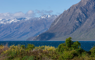 Lake Hawea South Island New Zealand. Mountains Lupines