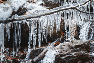 Icicles on a branch on a background of a mountain river. Icicles in winter. Icicles frost scene. Place for text or advertising