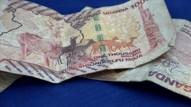 1000 pound bank notes from Uganda, Africa, rotating on a blue background