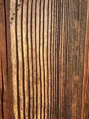 Aged wood texture, cutaway wood background, fibers