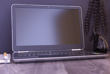 laptop on the table with figure, plant and notebook, black