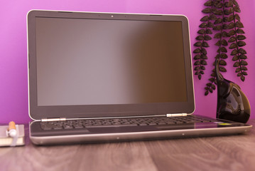 laptop on the table with figure, plant and notebook, rosa
