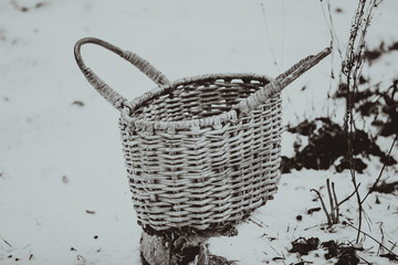 Wicker vine peasant grocery vintage retro basket for wild berries and mushrooms © Roman Pavlov