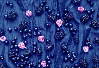 Creative berry background. Blackberry and currant on a blue texture. Close-up