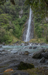 Thunder creek falls. River. South Island New Zealand.. Haast Pass Makarora