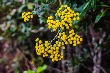 Summertime brings all sorts of beautiful things