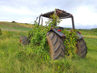 Abandoned tractor in field with vegetation rooted in its structure.