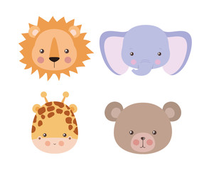 Obraz premium Elephant lion giraffe and bear cartoon vector design
