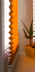Obraz premium Pleated blinds with orange folded fabric on the window close up. On the windowsill stands home plant in yellow flower pot. Cordless pleated shade with white lower bar.