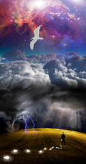 Storm and landscape. Seagull soars in the sky. Man is losing light bulbs like ideas