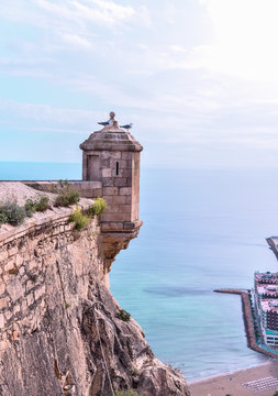 Alicante