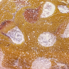 extreme close up of pebble