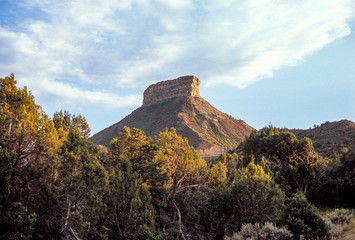 Fototapeta na wymiar Point Lookout, Mesa Verde National Park